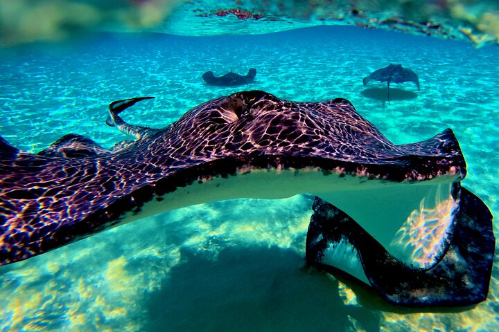 Private boat charter in Grand Cayman