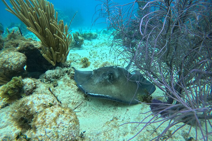 Private boat charter in Grand Cayman