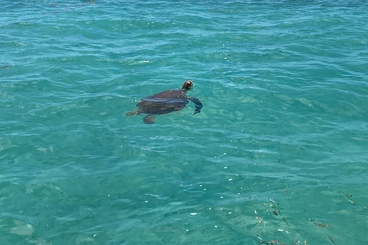Private boat charter in Grand Cayman
