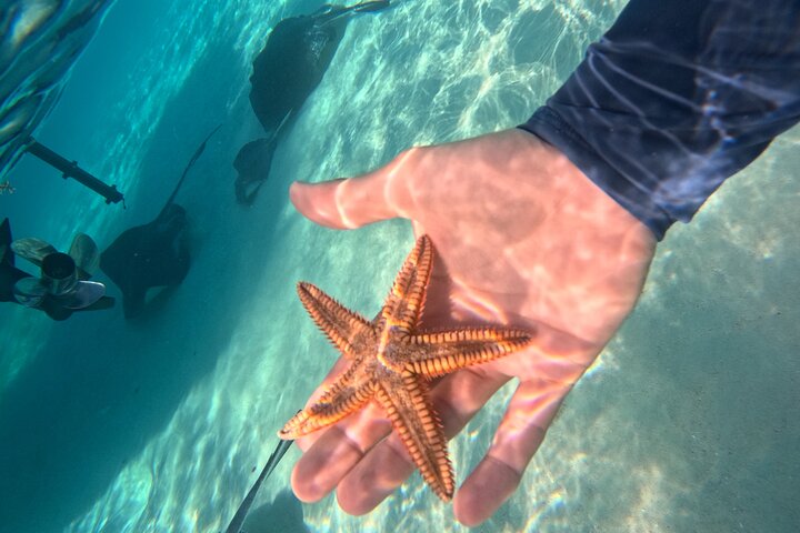 Private boat charter in Grand Cayman