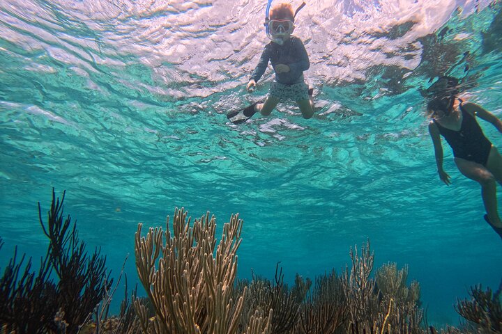 Private boat charter in Grand Cayman