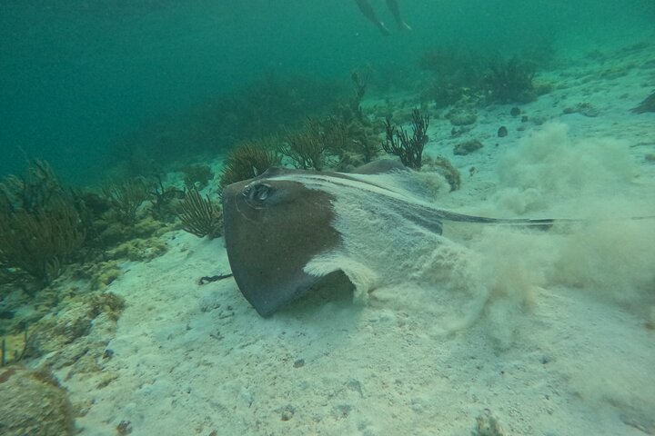 Private boat charter in Grand Cayman