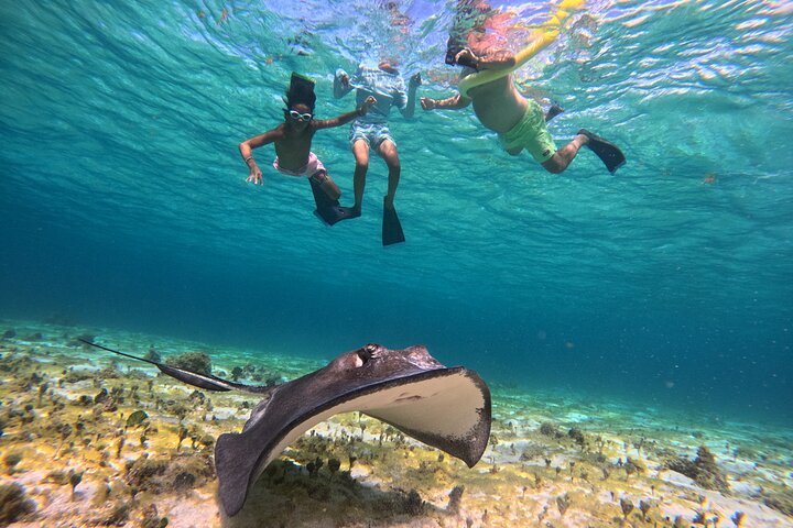 Private boat charter in Grand Cayman