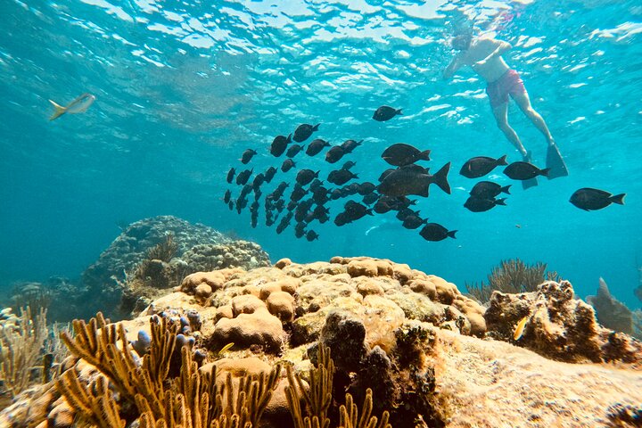 Private boat charter in Grand Cayman
