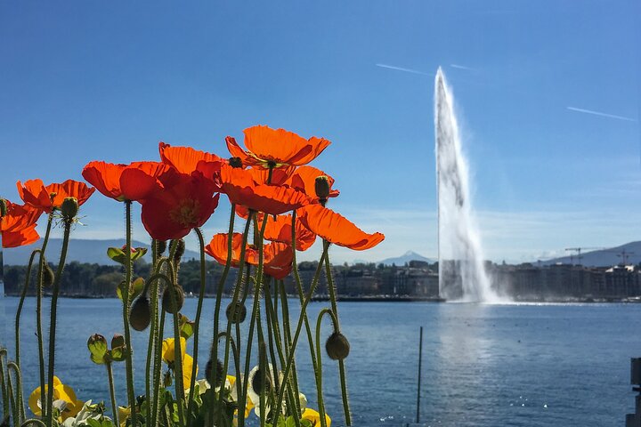 Award-Winning Geneva Chocolate &Old Town Tour (3h)