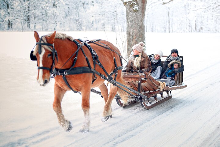 Private Horse-Drawn Sleigh Adventures