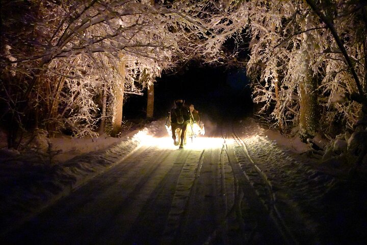 Private Horse-Drawn Sleigh Adventures
