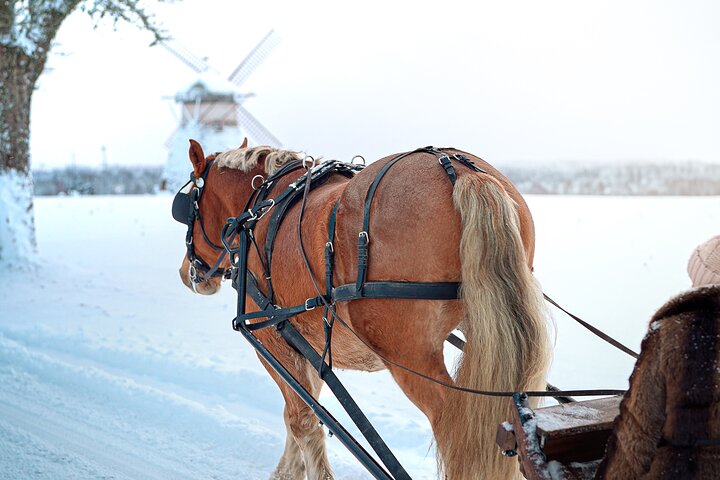 Private Horse-Drawn Sleigh Adventures
