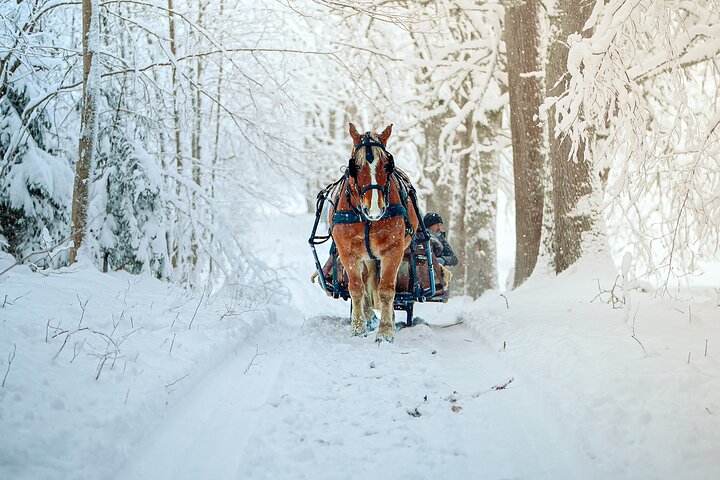 Private Horse-Drawn Sleigh Adventures