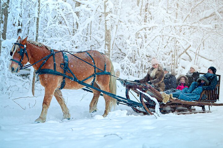 Private Horse-Drawn Sleigh Adventures