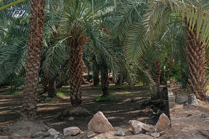 Private Guided Ziyarat Tour of Madinah.