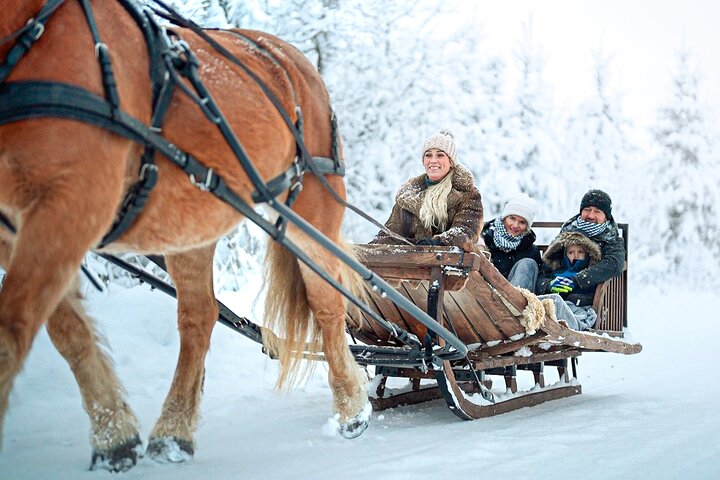 Private Horse-Drawn Sleigh Adventures
