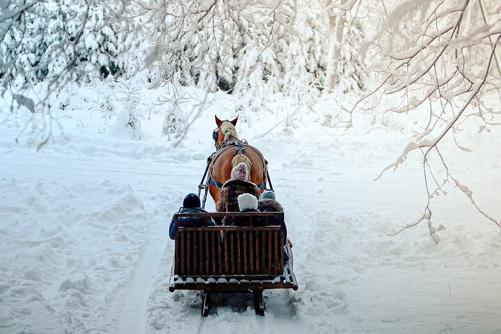 Private Horse-Drawn Sleigh Adventures