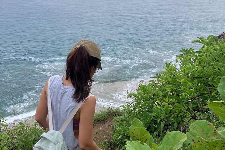 Biocultural Hiking Experience in Sayulita