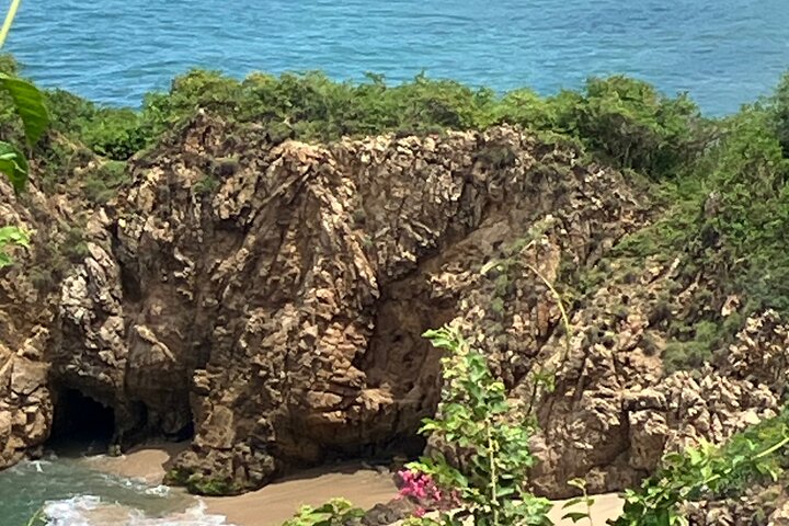 Biocultural Hiking Experience in Sayulita