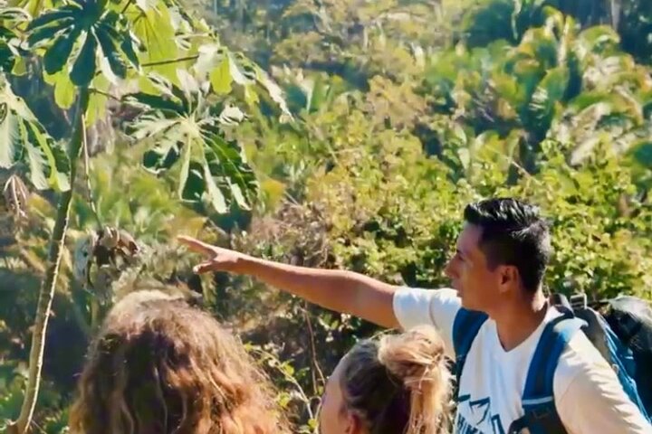 Biocultural Hiking Experience in Sayulita
