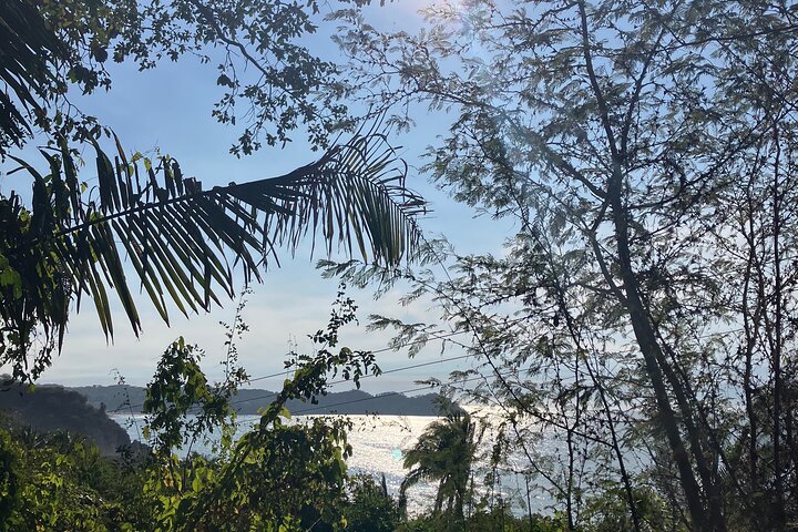 Biocultural Hiking Experience in Sayulita