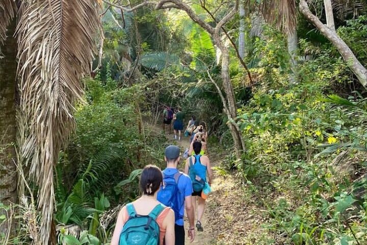 Biocultural Hiking Experience in Sayulita