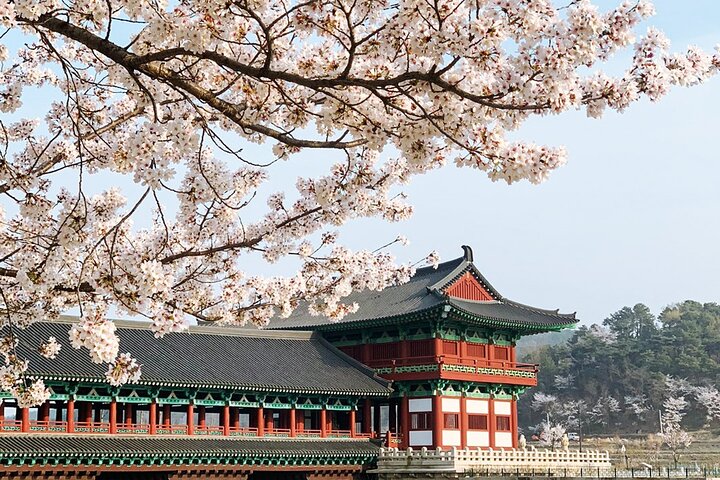 Gyeongju UNESCO World Heritage Guided Day Tour from Busan