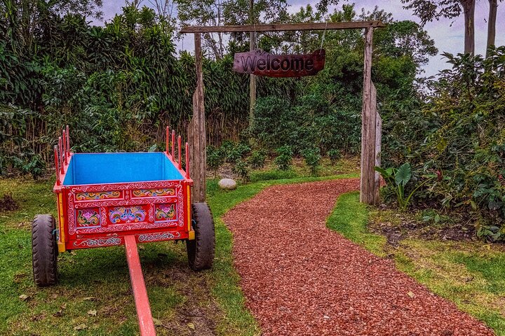 Poas Coffee tour, La Paz Falls and Poas Volcano