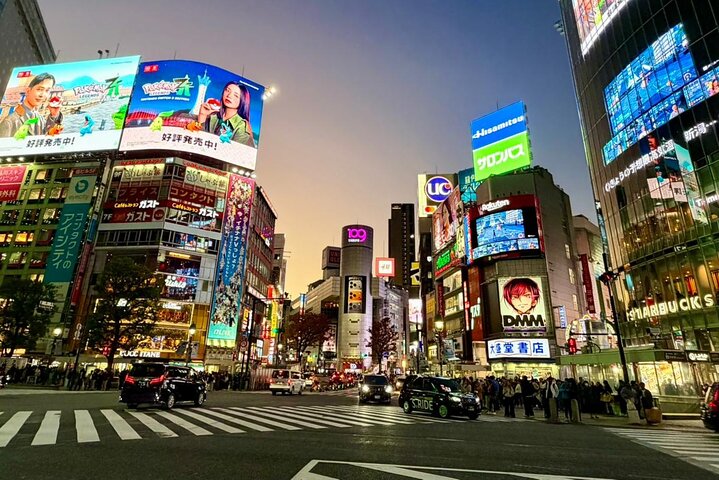 Tokyo Private Discovery Tour | Unique Insights & Must Sees