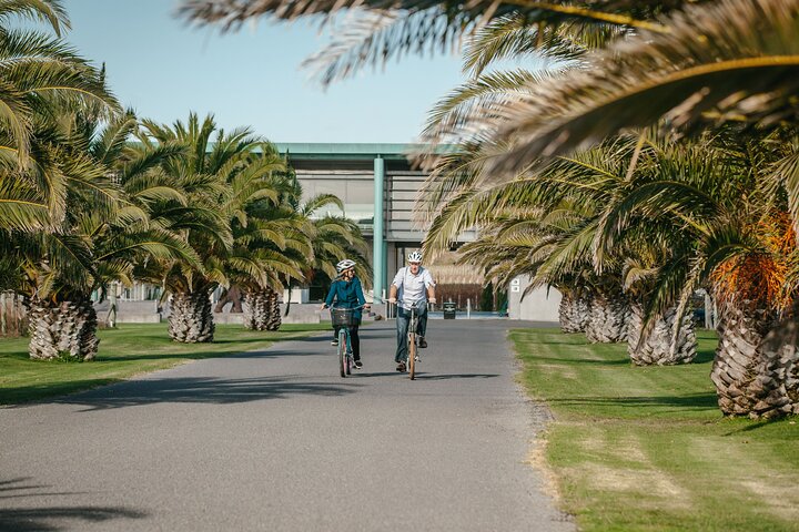 Coast to Country Winery Cycle Tour