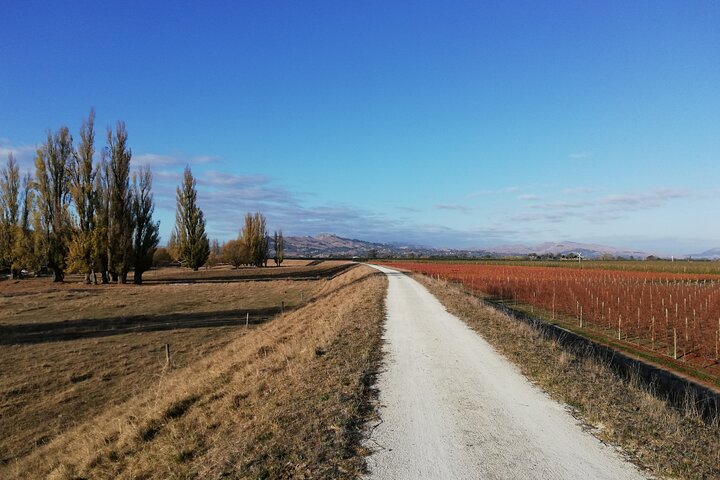 Coast to Country Winery Cycle Tour