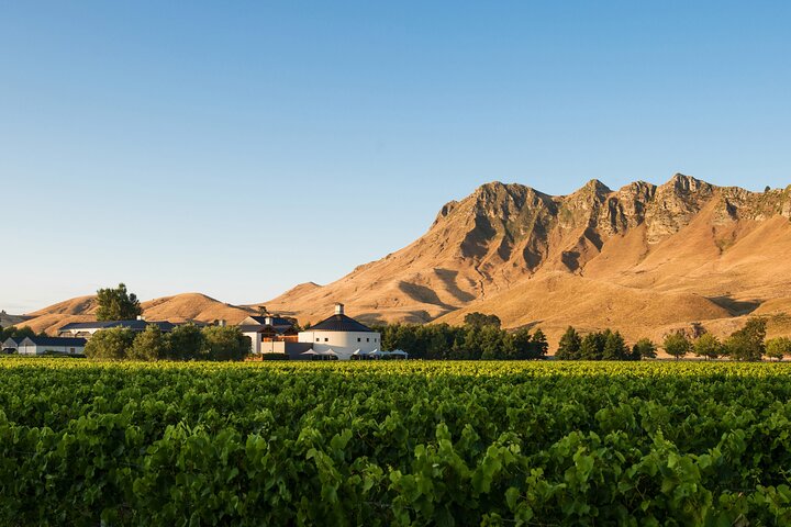Coast to Country Winery Cycle Tour
