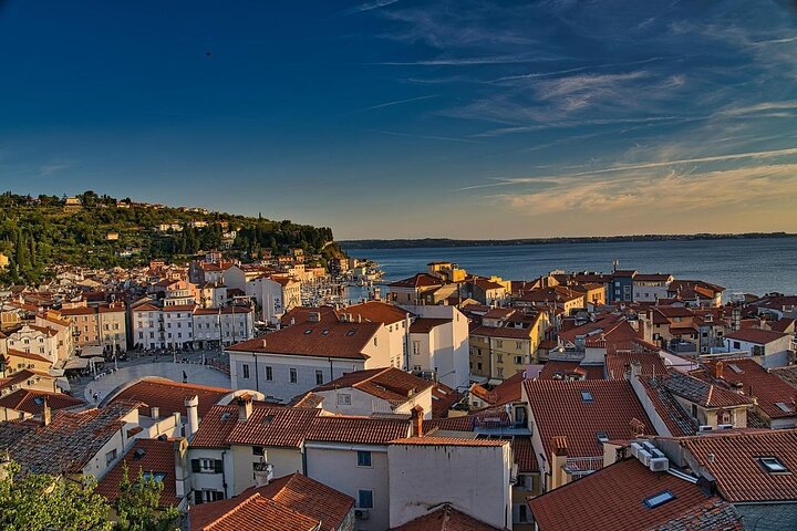 TRIESTE: Slovenian Coast Tour with Food and Wine Tasting