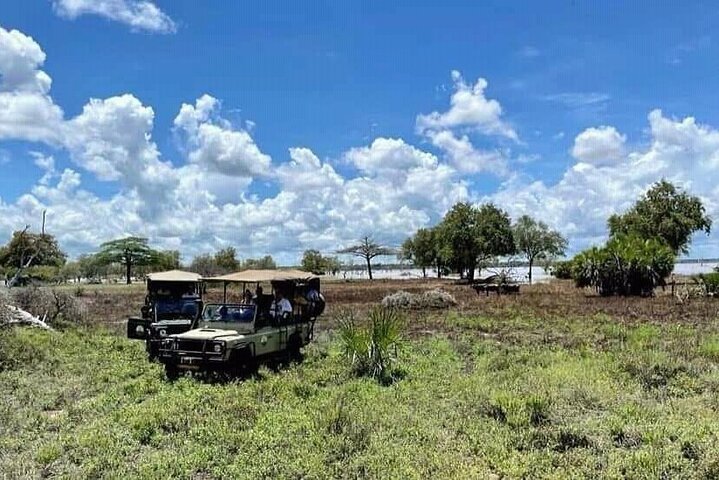 1 Day Safari Tour to Mikumi National Park from Zanzibar