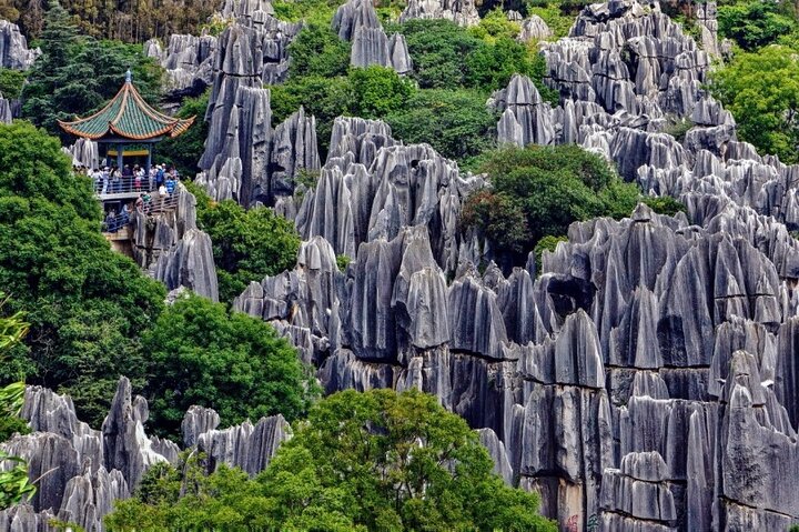Stone Forest + Yiliang Roast Duck + Kunming City Private Tour