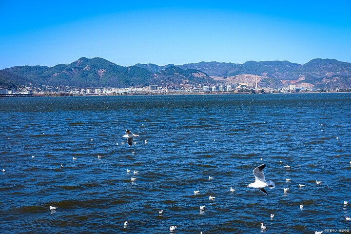 Stone Forest + Yiliang Roast Duck + Kunming City Private Tour