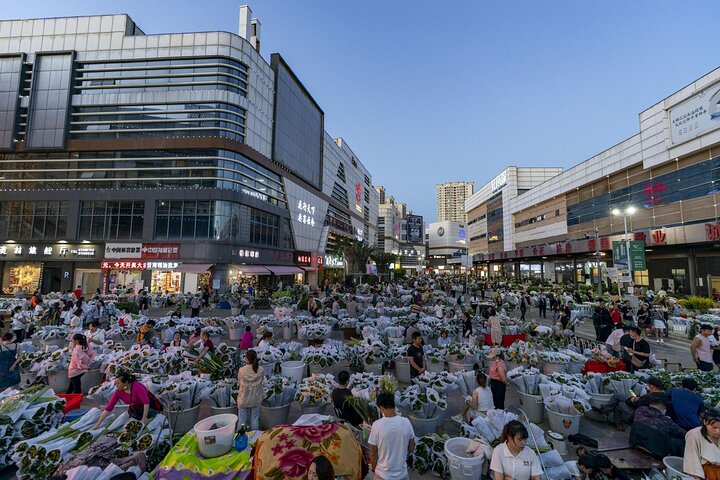 Stone Forest + Yiliang Roast Duck + Kunming City Private Tour