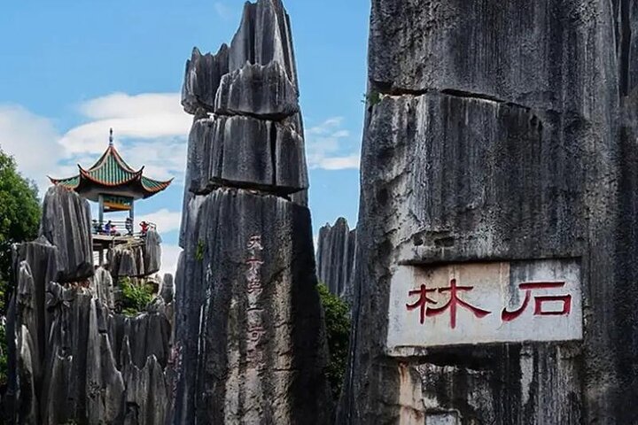 Stone Forest + Yiliang Roast Duck + Kunming City Private Tour