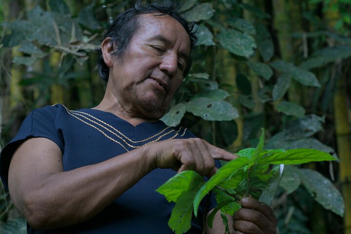 Amazon Forest to Table Cooking Class with Indigenous Hosts