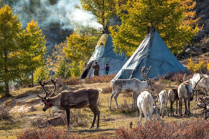 Reindeer Tribes Tour with Lake Khuwsgul