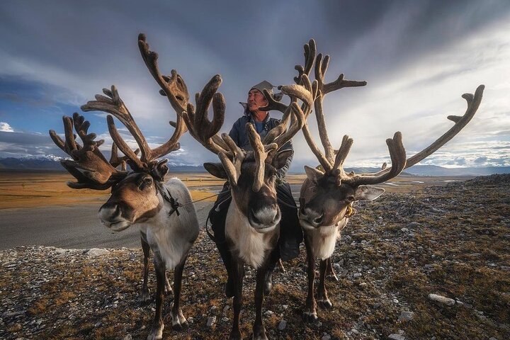 Reindeer Tribes Tour with Lake Khuwsgul