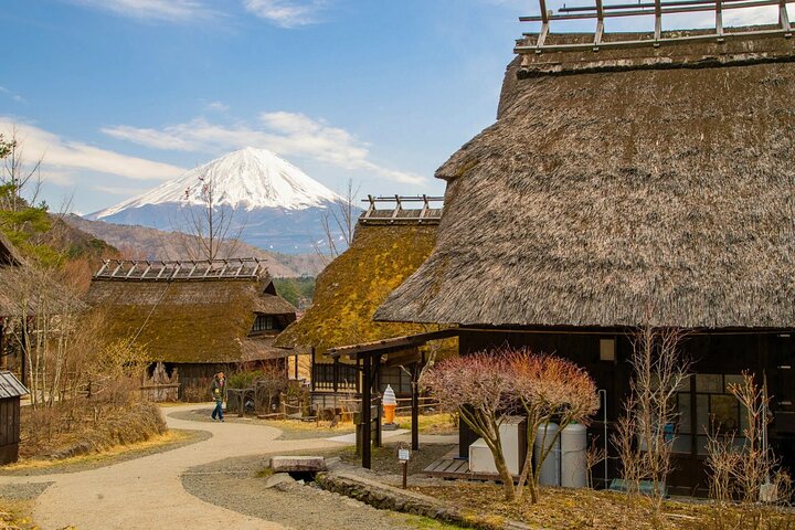 Mount Fuji Private Custom Tour with Local English Speaking Guide