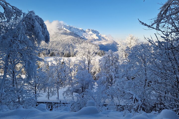 Berchtesgaden-Obersalzberg Private Half Day WWII Historical Tour