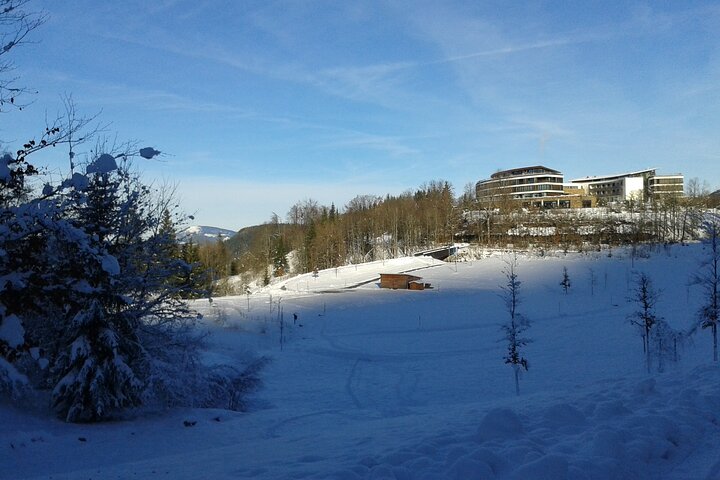 Berchtesgaden-Obersalzberg Private Half Day WWII Historical Tour