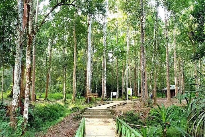 Sorong Southwest Papua Full Day Tour