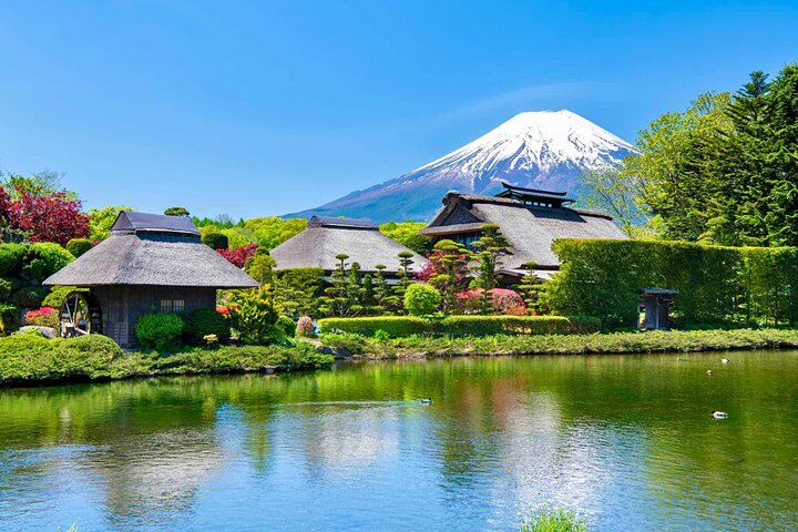 Mount Fuji Private Custom Tour with Local English Speaking Guide