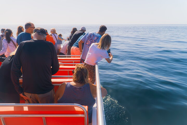 Combo Adventure: Benagil Caves Tour & Dolphins from Lagos