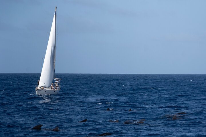 Sailing yacht half day- with Cape Verde Sailing