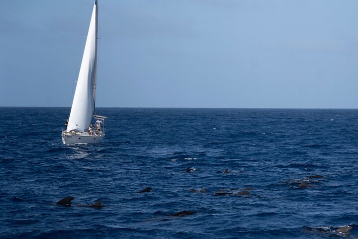 Full day Sailing yacht - Beautiful day on the Atlantic Ocean