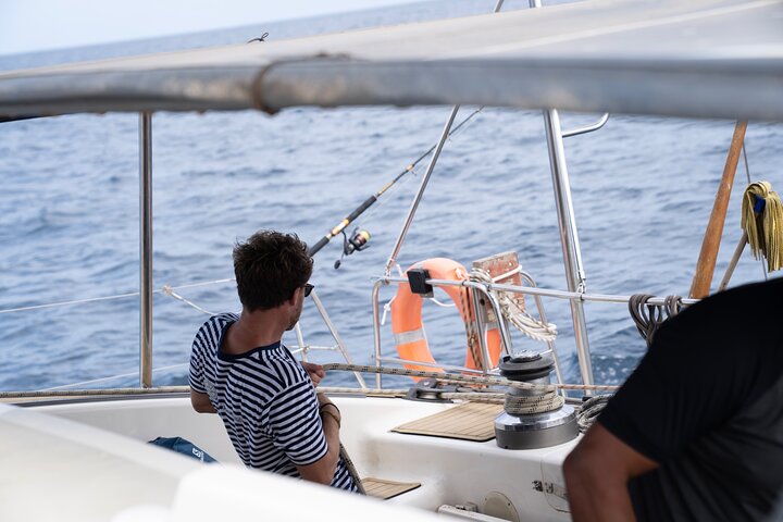 Catamaran Half Day - Beautiful day on the Atlantic Ocean