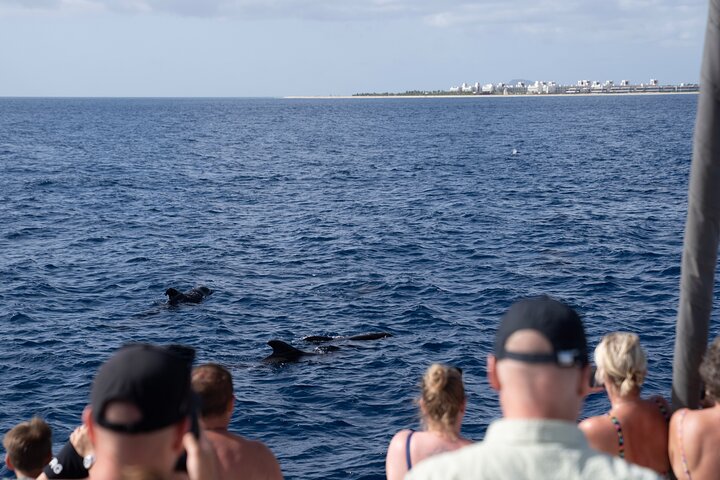 Catamaran Half Day - Beautiful day on the Atlantic Ocean