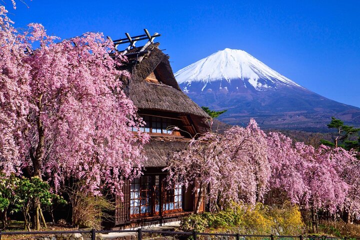 Mount Fuji Private Custom Tour with Local English Speaking Guide