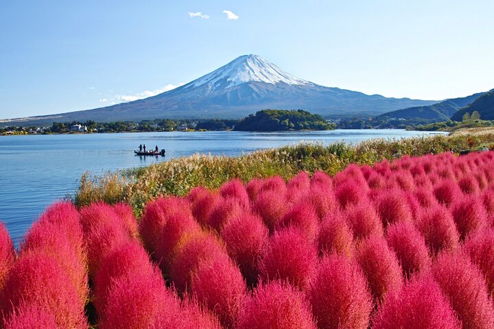 Mount Fuji Private Custom Tour with Local English Speaking Guide
