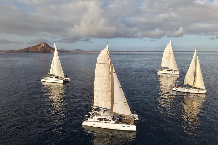 Catamaran Half Day - Beautiful day on the Atlantic Ocean